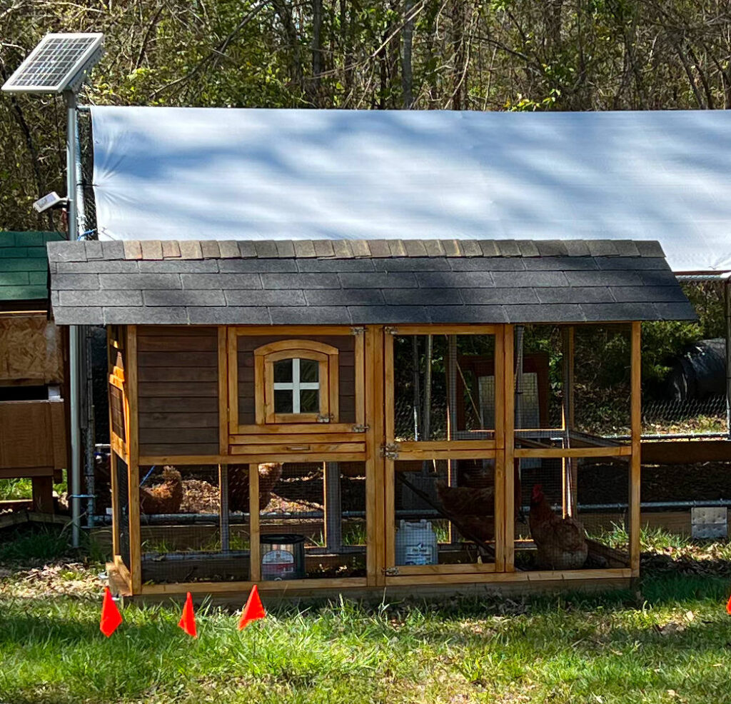 stain to extend the life of an inexpensive chicken coop